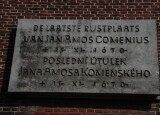 DSC_0462.JPG